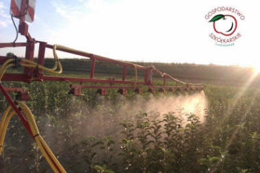 sloupovité ovocné stromy duo-V mini ovocné keře Polsko