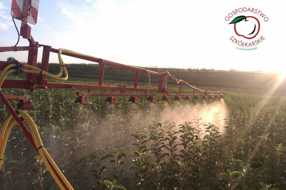 sloupovité ovocné stromy duo-V mini ovocné keře Polsko